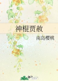 神棍贾赦