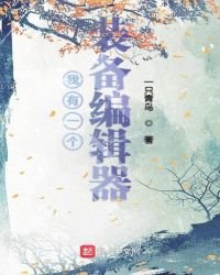 我有一個裝備編輯器