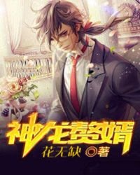 神龙赘婿