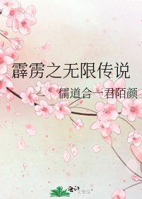 霹雳之无限传说