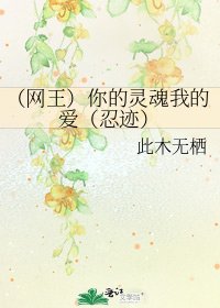(网王)你的灵魂我的爱(忍迹)