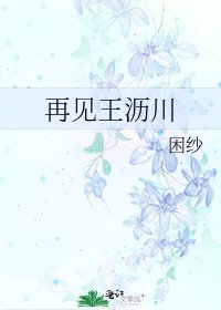 再见王沥川