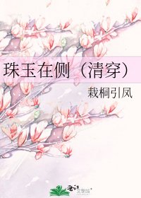 珠玉在侧(清穿)