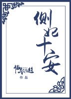 侧妃十安