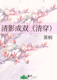 清影成双(清穿)