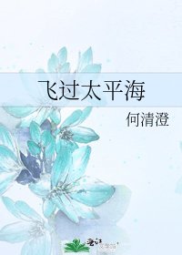 飞过太平海