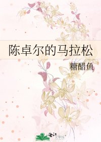 陈卓尔的马拉松