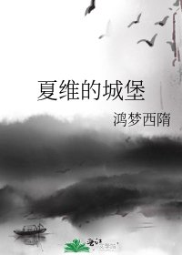 《夏維的城堡》