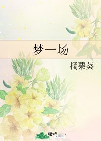 梦一场