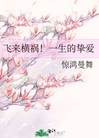 《飛來橫禍!一生的摯愛》