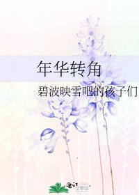 年华转角