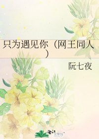 只为遇见你(网王同人)