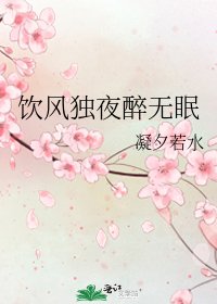 饮风独夜醉无眠