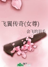 飞翼传奇(女尊)