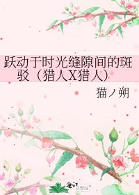 躍動於時光縫隙間的斑駁(獵人X獵人)