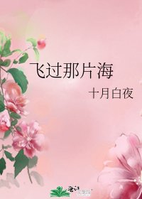 飛過那片海