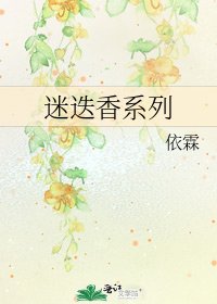 迷迭香系列