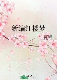 新编红楼梦