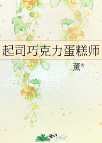 起司巧克力蛋糕师