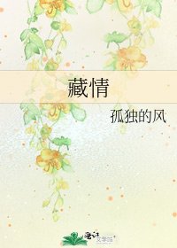 藏情