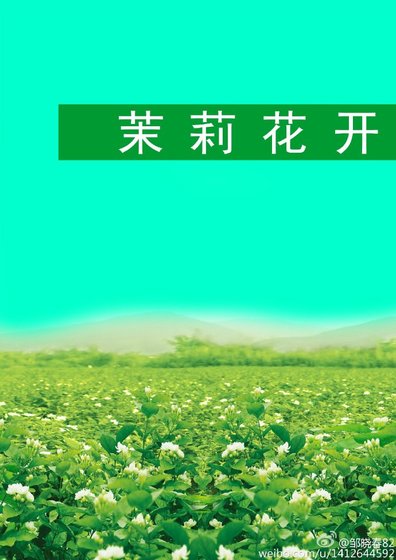 茉莉花开