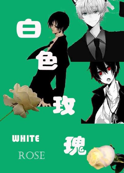 白色玫瑰