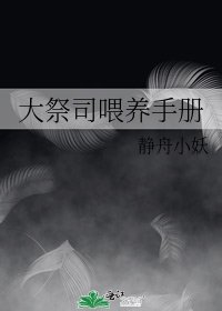 大祭司喂养手册
