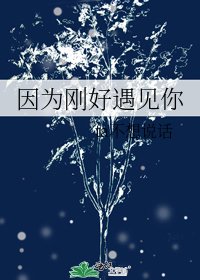 因为刚好遇见你