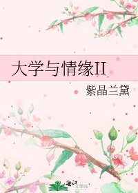 大学与情缘II