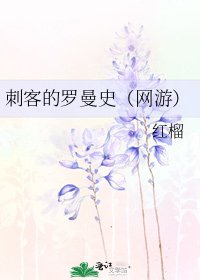 刺客的罗曼史(网游)