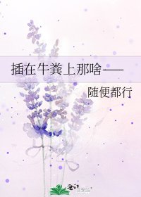 插在牛粪上那啥——