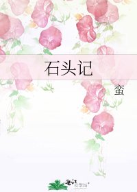 石头记