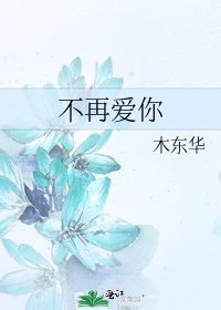 不再爱你