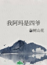 我阿玛是四爷