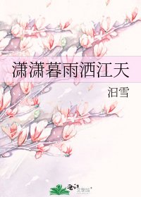 潇潇暮雨洒江天
