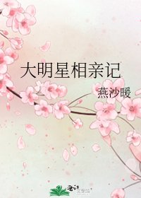 大明星相亲记