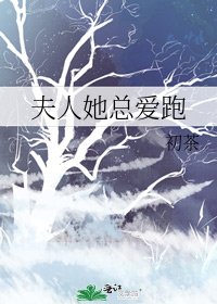 夫人她总爱跑