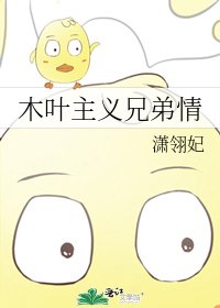 木叶主义兄弟情