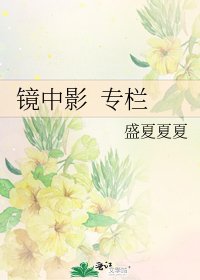 镜中影 专栏