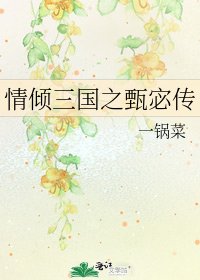 情倾三国之甄宓传