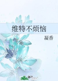 维特不烦恼