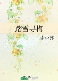 踏雪尋梅