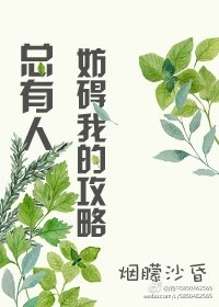 總有人妨礙我的攻略