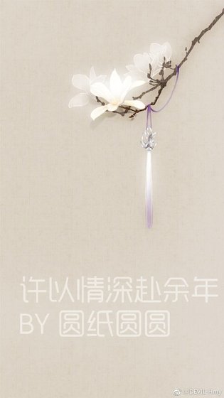許以情深赴餘年