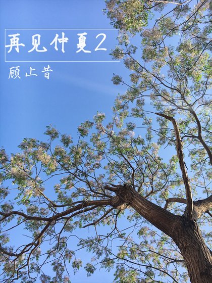 《再見仲夏2》