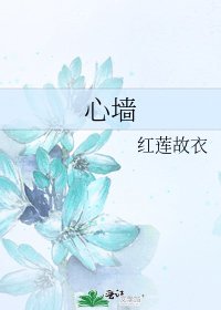 心墙