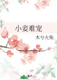 小妾难宠