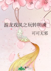 游龙戏凤之玩转明清