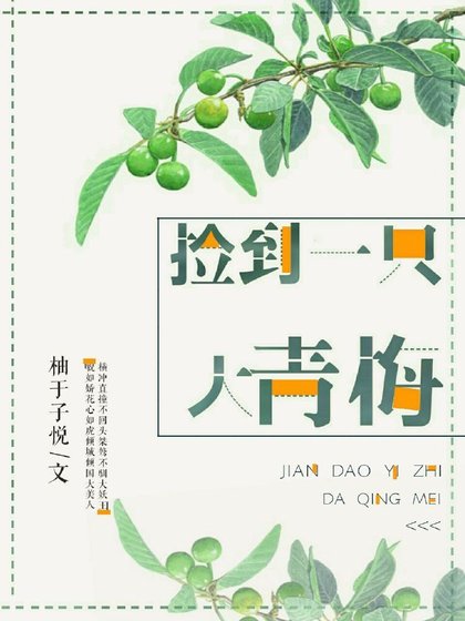 我青梅从天而降