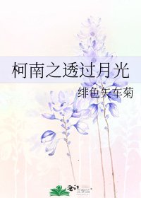 柯南之透過月光